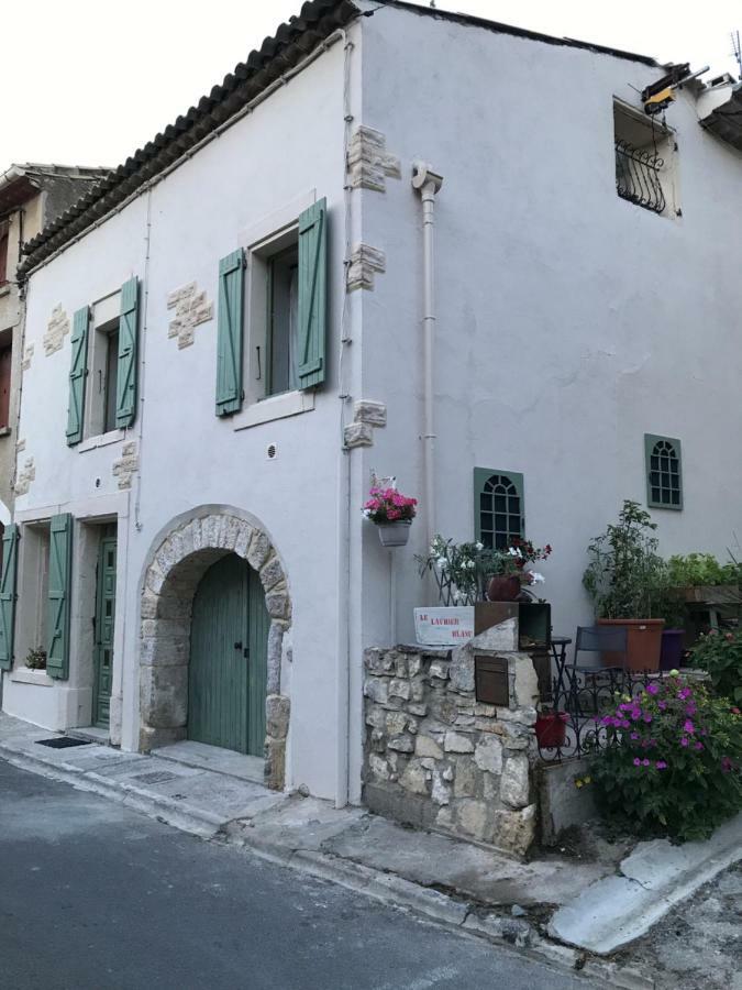 Chambre D'Hotes Le Laurier Blanc Portel-des-Corbieres Bagian luar foto